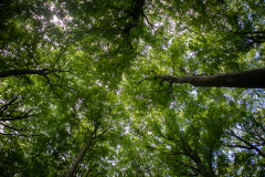 20220806-IMG_5224
