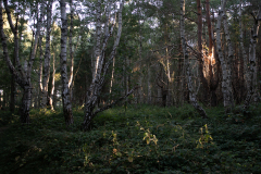 20220807-_MG_5266
