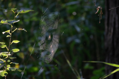 20220807-_MG_5267