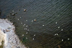 20220807-_MG_5280