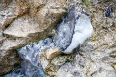 20220807-_MG_5316