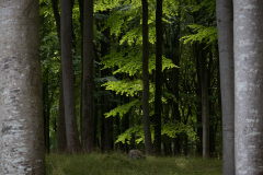 20220807-_MG_5372
