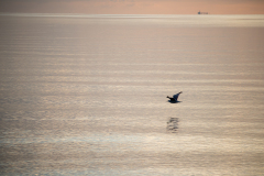 20220808-IMG_5403