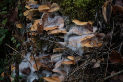 20221026-_MG_6783