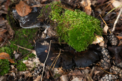 20221026-_MG_6793