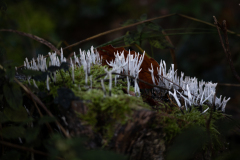 20221028-_MG_6836