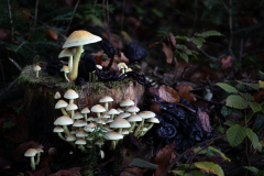 20221028-_MG_6840