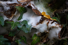 20221028-_MG_6875