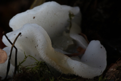 20221002-_MG_6456