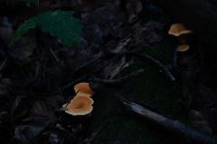 20221002-_MG_6463