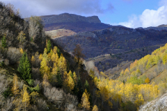 20251024-DSCF2906-2