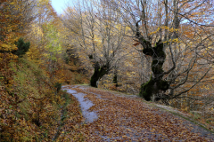 20251024-DSCF2909-2