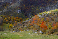20251024-DSCF2921