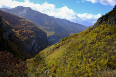 20251024-DSCF2929