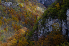 20251024-DSCF2931-2