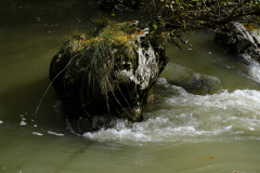 20251024-DSCF2946