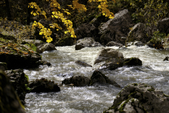 20251024-DSCF2949