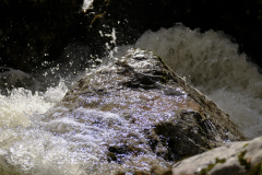 20251024-DSCF2957