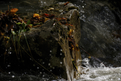 20251024-DSCF2962