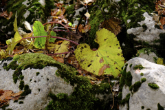 20251024-DSCF2980