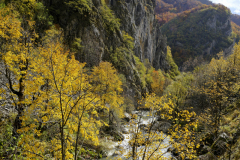 20251024-DSCF2982