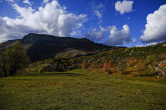 20251024-DSCF3003