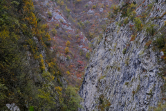 20251025-DSCF3037