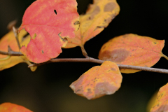 20251031-DSCF3072