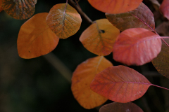 20251031-DSCF3079