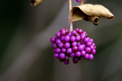 20251031-DSCF3080