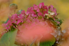 20251031-DSCF3088