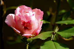 20251031-DSCF3091