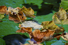 20251031-DSCF3101