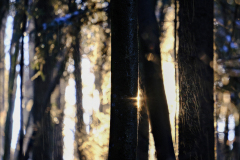 20251227-DSCF5747