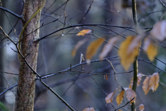 20251227-DSCF5763