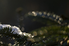 20251227-DSCF5776