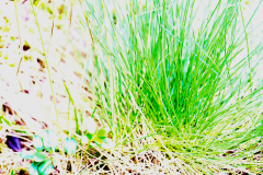 20260905-DSCF9539