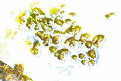 20260905-DSCF9562