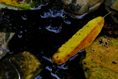 20260905-DSCF9569