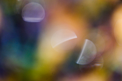 20260905-DSCF9580