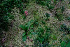 20260905-DSCF9591