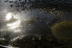 DSCN5797