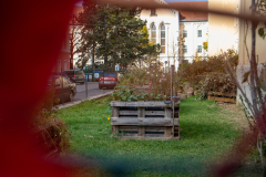 20211022-IMG_9918