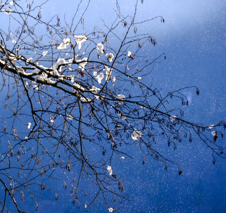 Die Farben des Winters